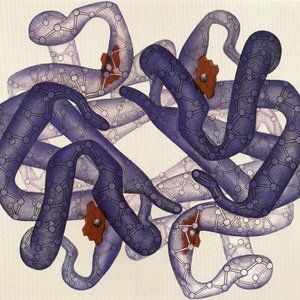 Meet your Posher, Jacob